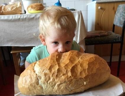 Zalán és a kenyér