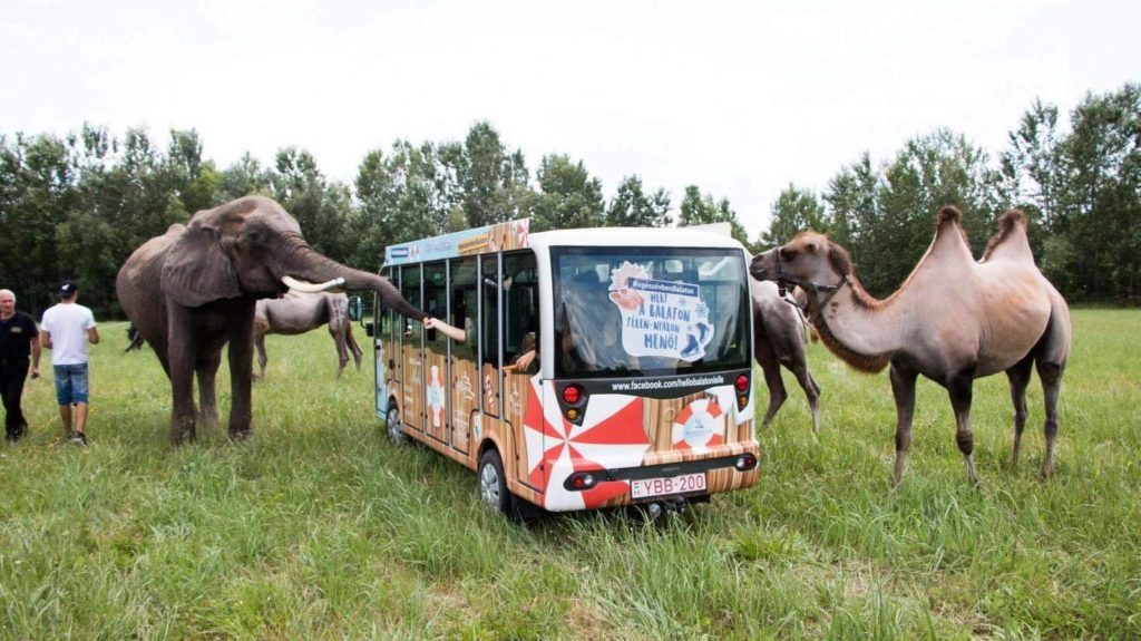 Safari park nyílhat Nagykőrösön
